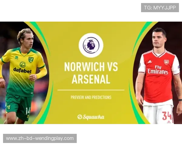 诺维奇英超时期球衣品牌与赞助商全纪录 诺维奇英超时期球衣品牌与赞助商全纪录